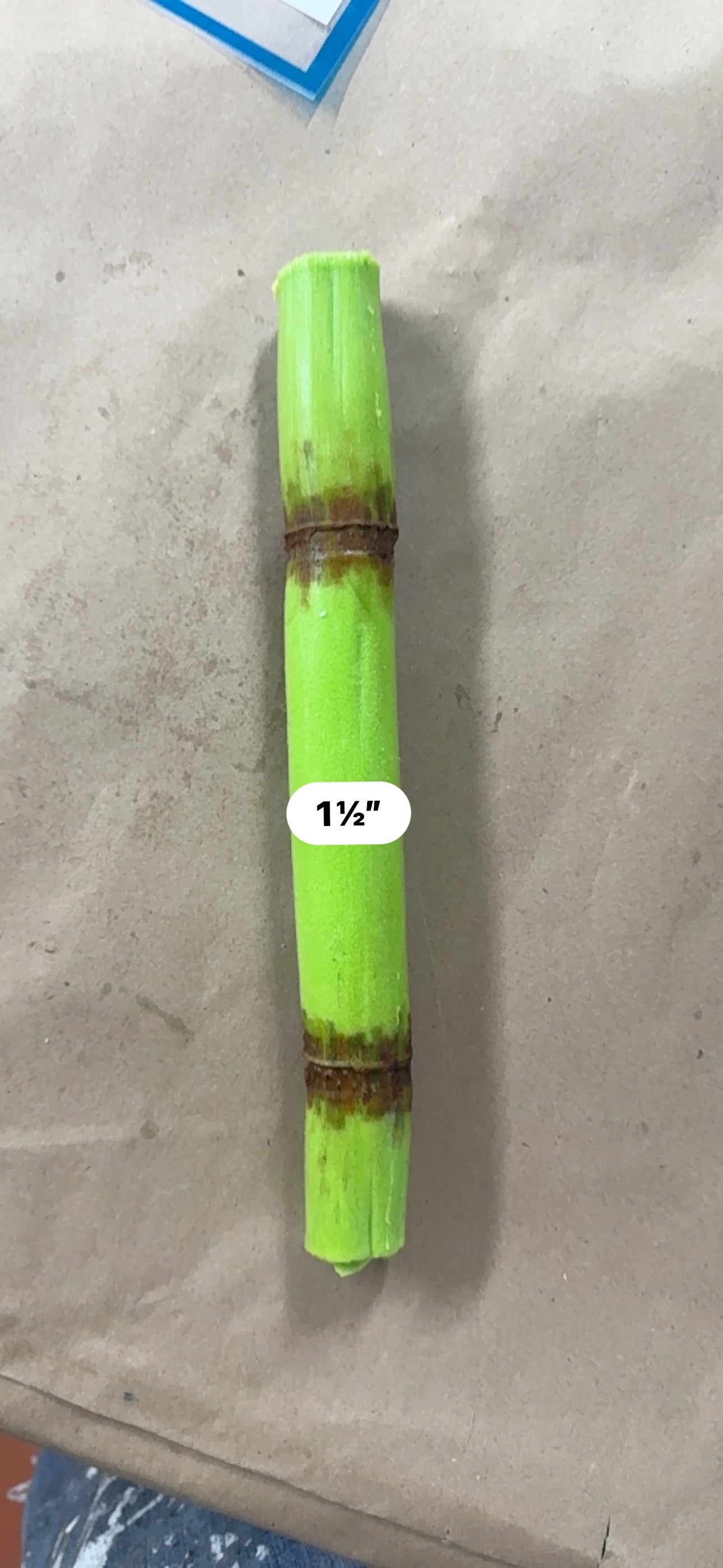 Sugarcane 2ct