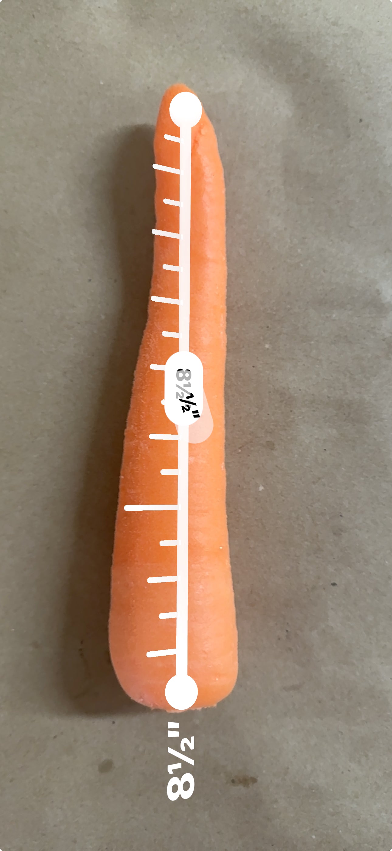 Carrot #5