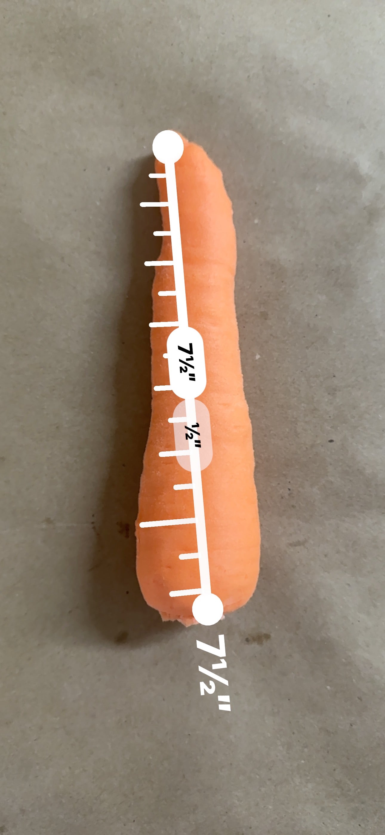 Carrot #6