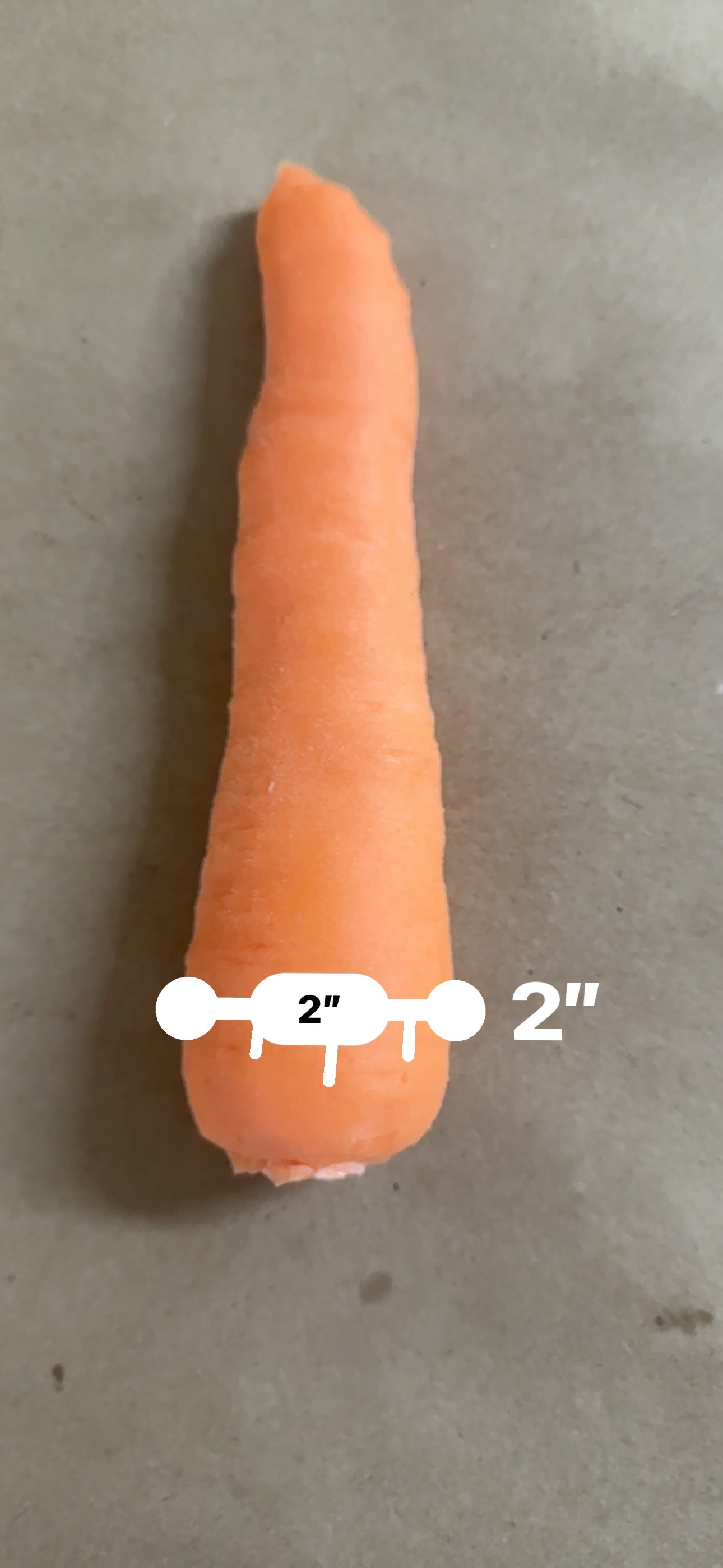 Carrot #6