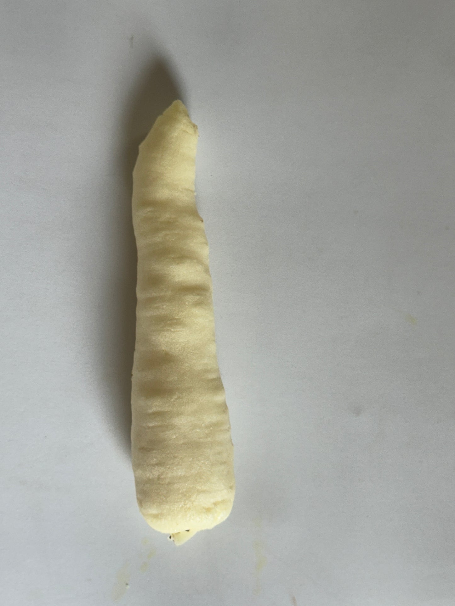 Carrot #6