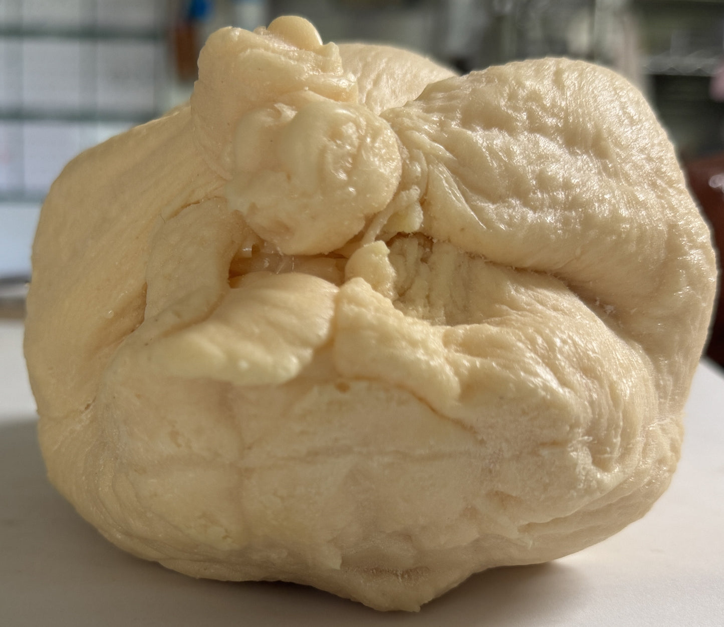 Chicken 4.25lb Large Size Raw Gen 6