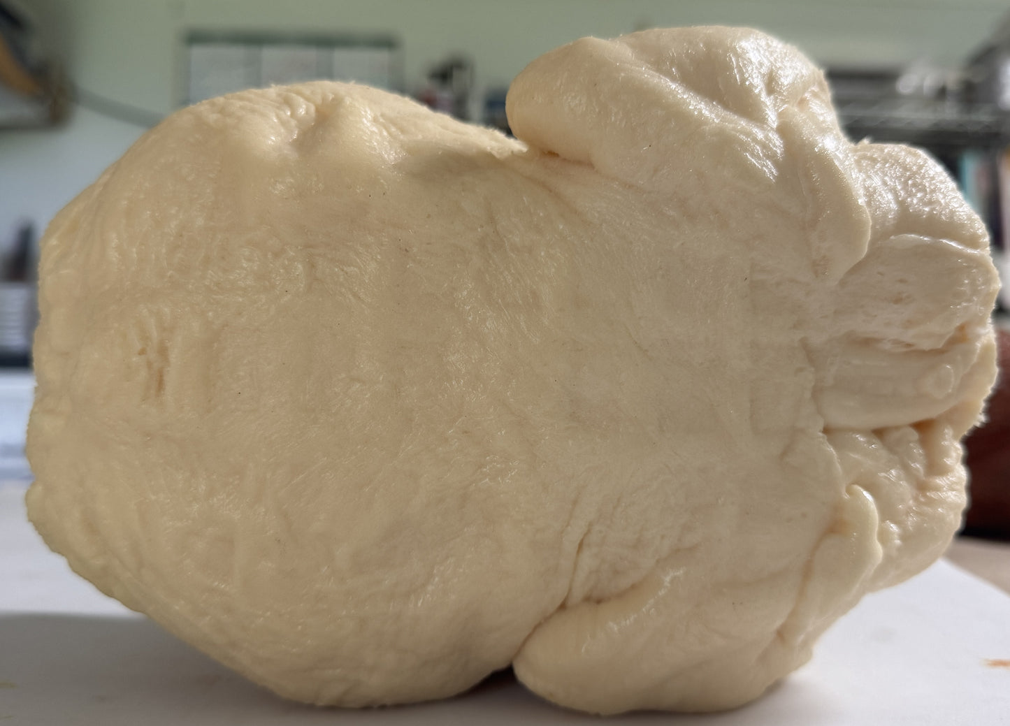 Chicken 4.25lb Large Size Raw Gen 6