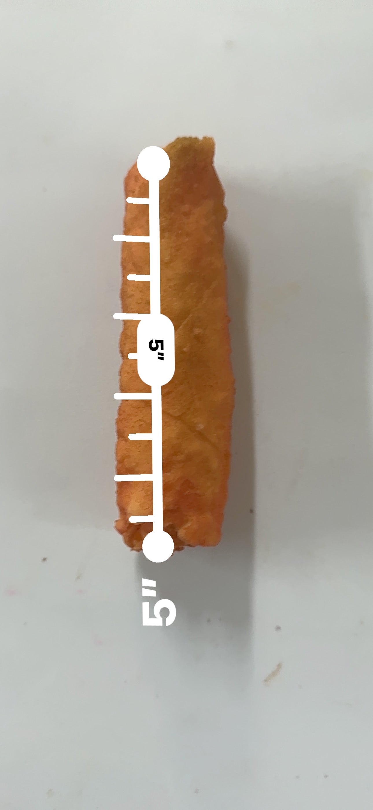 Egg Roll 2ct