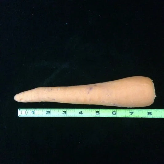 Carrot Organic #2