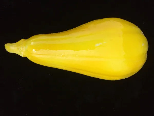 Green and Yellow Squash