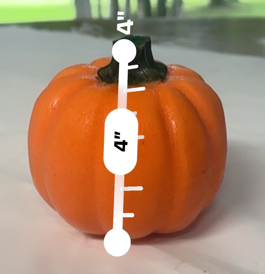 Pumpkin Mini
