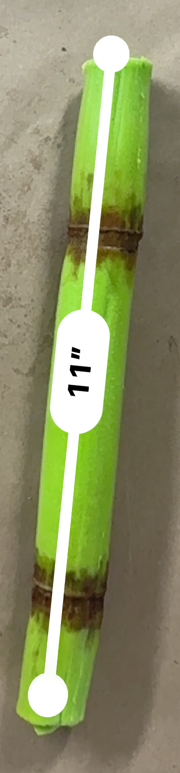 Sugarcane 2ct