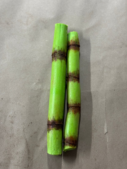 Sugarcane 2ct