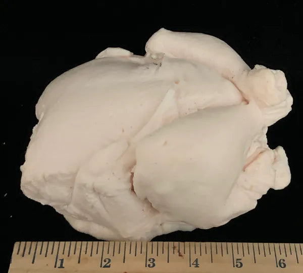 Chicken Kid Size (Cornish Game Hen) Raw