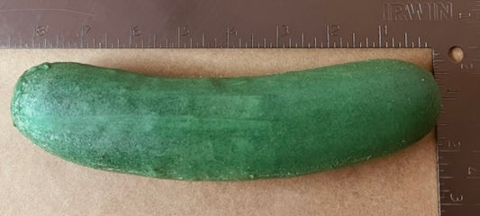 Cucumber