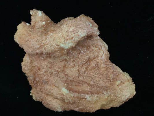 Fried Chicken Breast