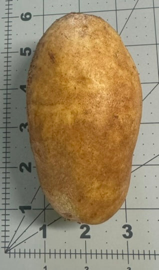 Potato