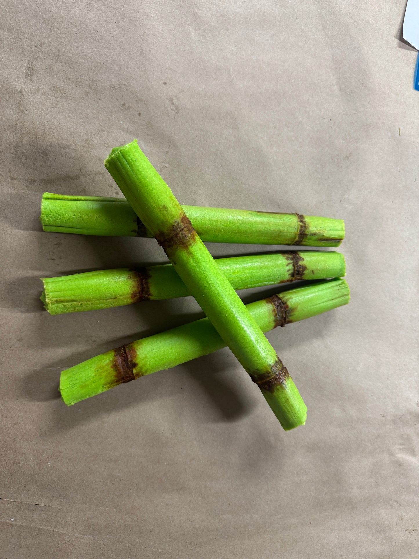 Sugarcane 2ct