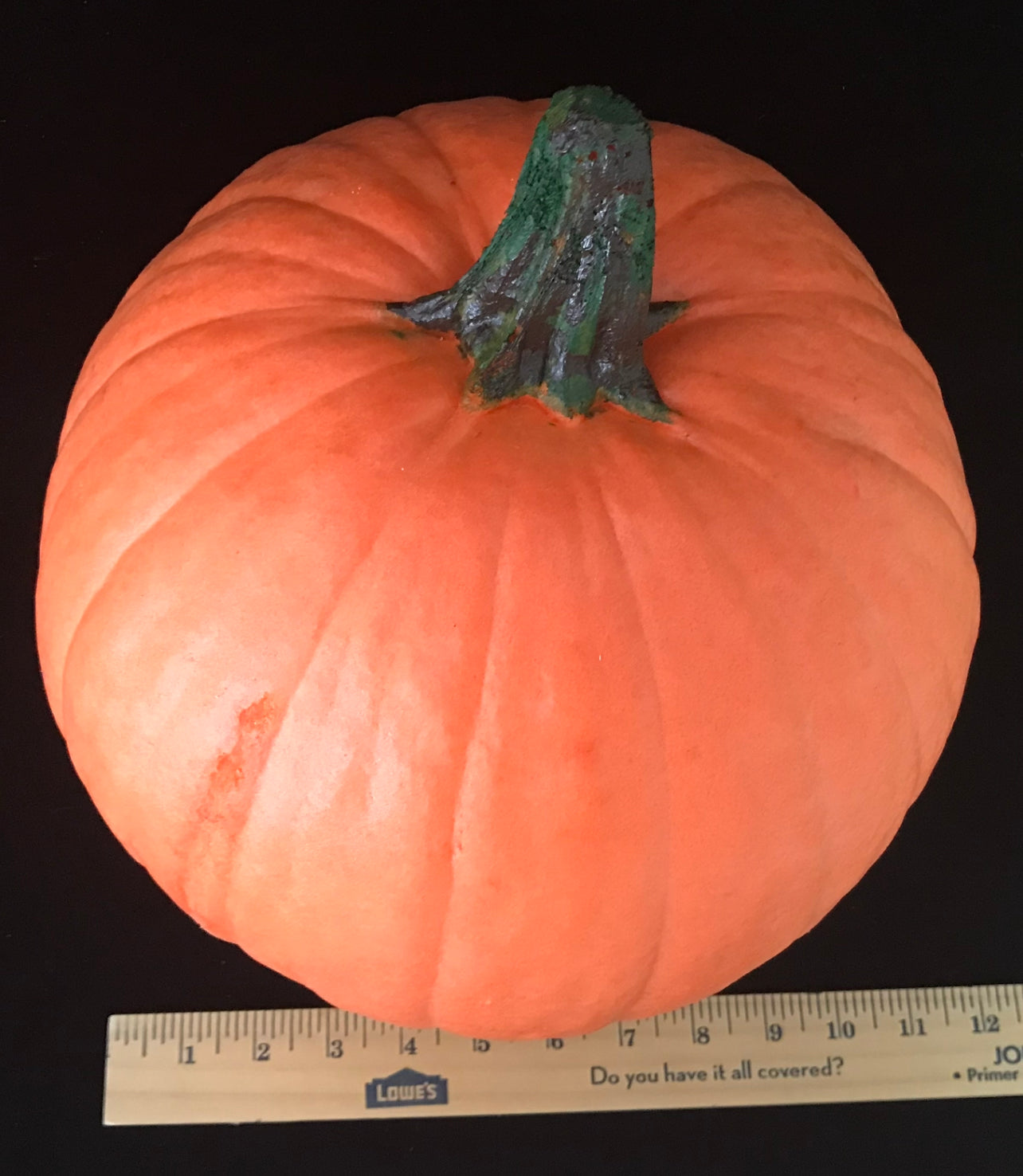 Pumpkin Large