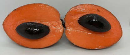 Tropical Mamey Fruit Half