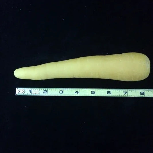 Carrot Organic #1