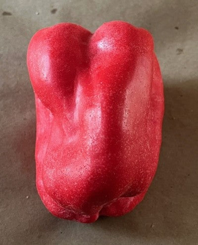 Bell Pepper