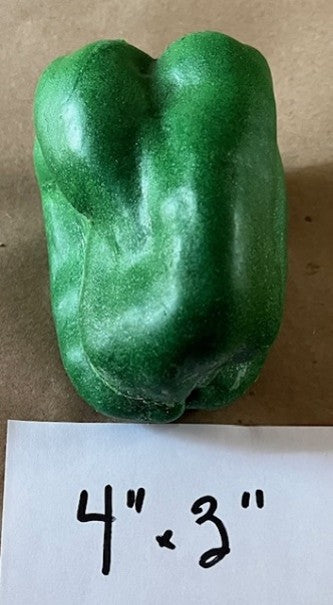 Bell Pepper