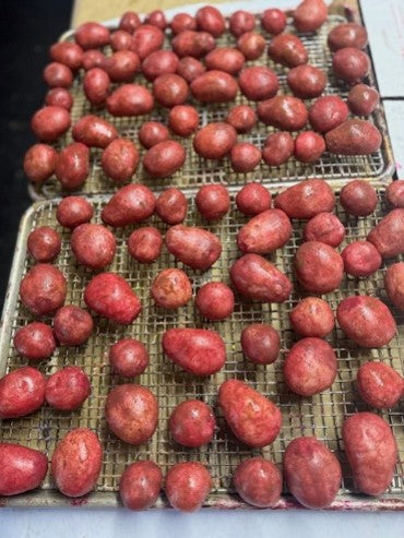 Red Potatoes/Baby Potatoes 4ct