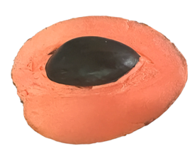 Tropical Mamey Fruit Half