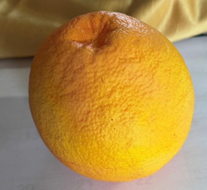 Grapefruit