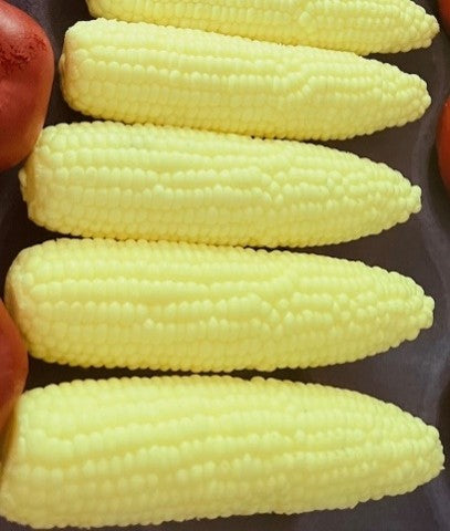 Corn On The Cob