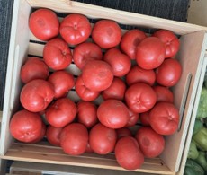 Tomato