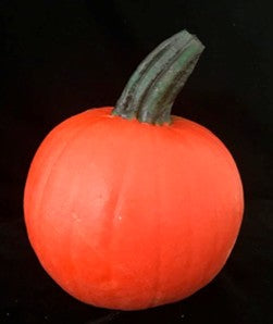 Pumpkin Small