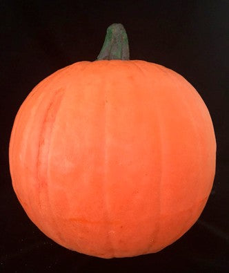 Pumpkin Large