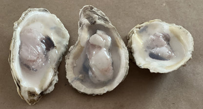 Oyster On The Half Shell 3ct